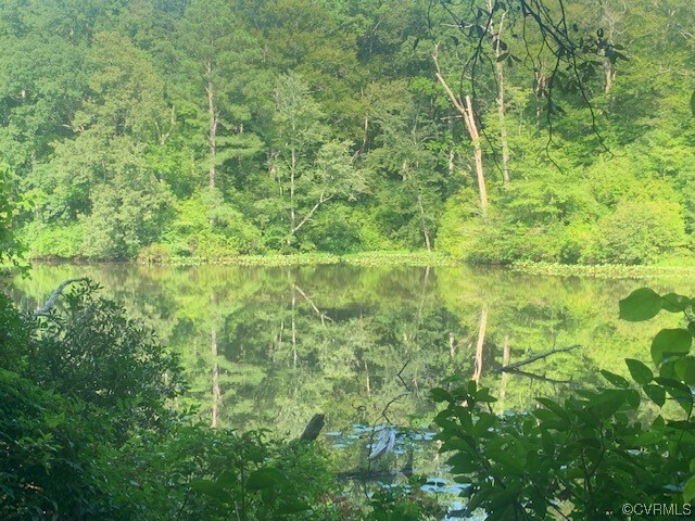 Property Photo: 00 Off Gardys Lane VA 22435