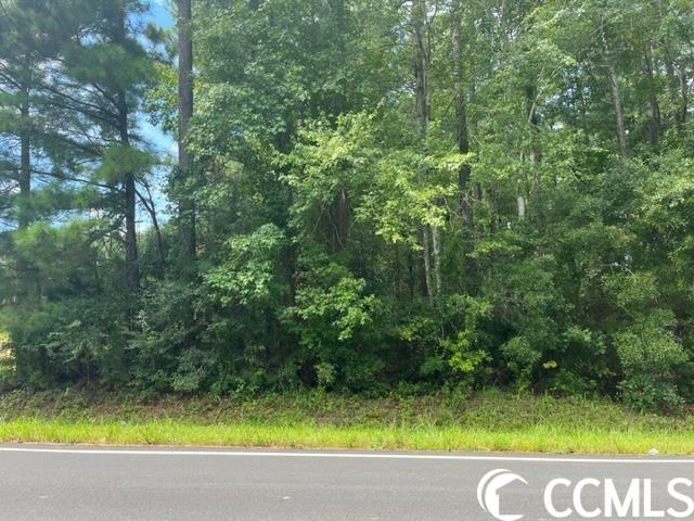 Property Photo: 3076 Wise Rd. SC 29526
