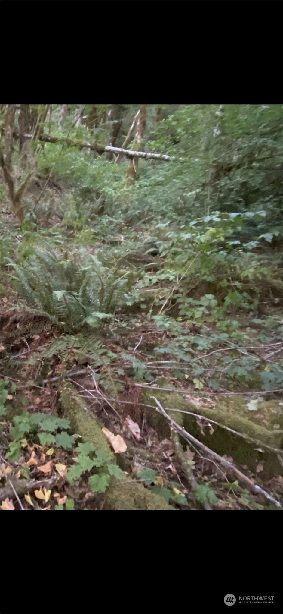 Property Photo: 59813 Silver Creek Way WA 98294