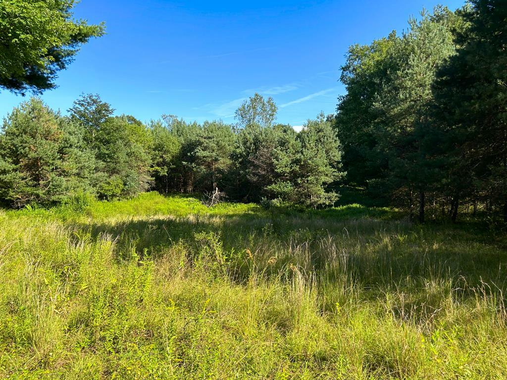 Property Photo:  20-02-38A Wallaceville Road  PA 16354 
