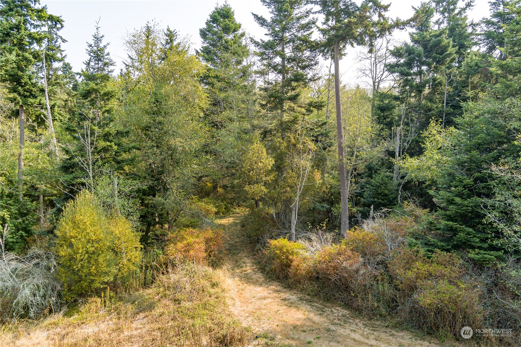 Property Photo: 0 SR 525 WA 98239