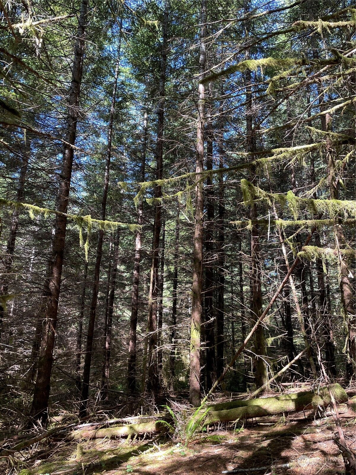 Property Photo:  0  Wiest Road  WA 98632 