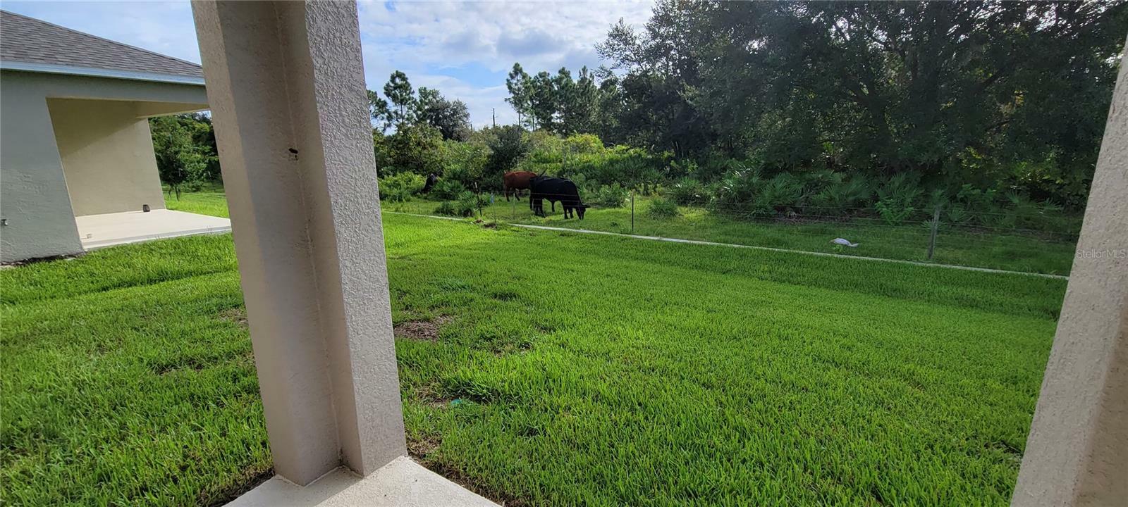Property Photo: 4278 Southern Vista Loop FL 34769