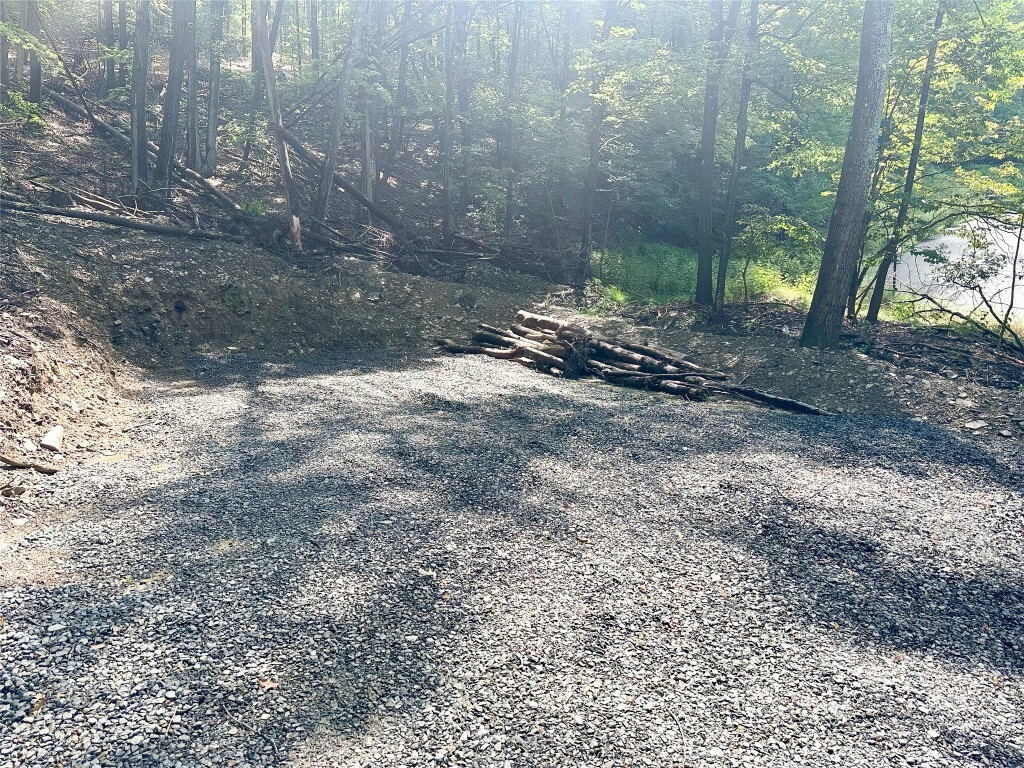 Property Photo: 1309 Holly Hill Road NY 13850