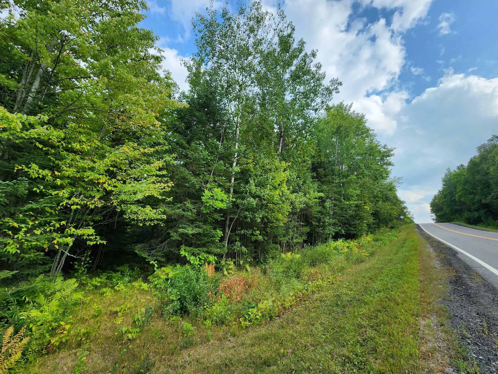 Property Photo: Tbd County Rd 12 MN 55775