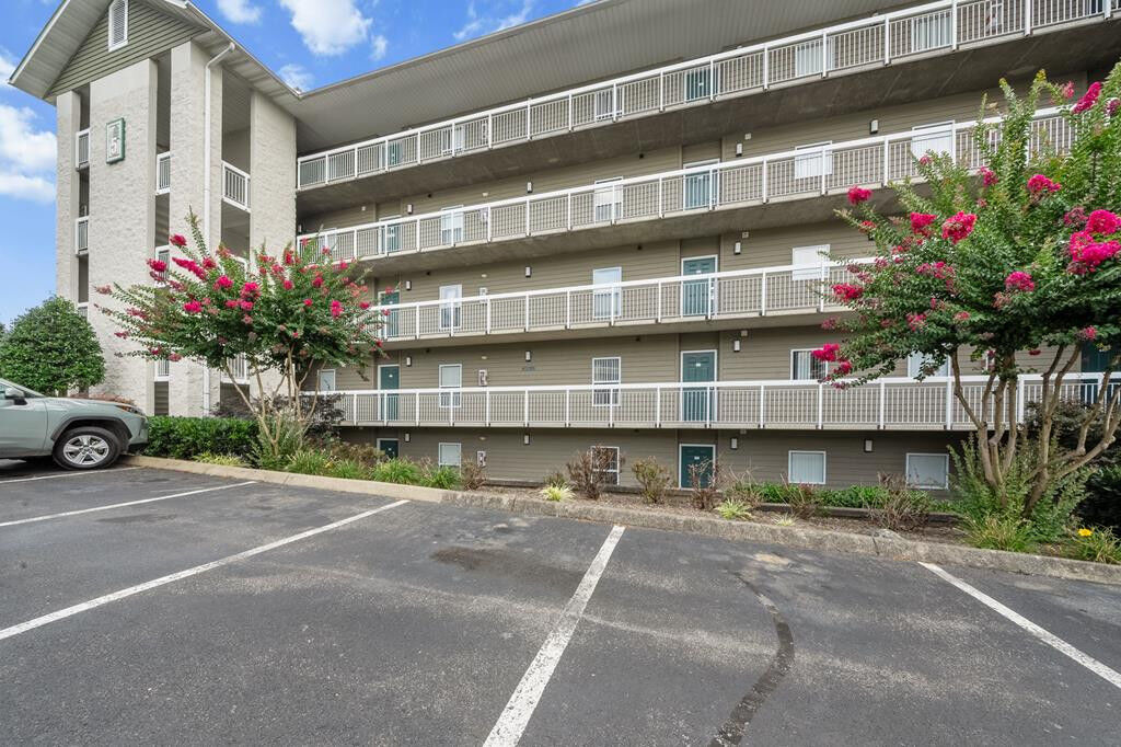 Property Photo:  205 Ogle Drive  TN 37876 