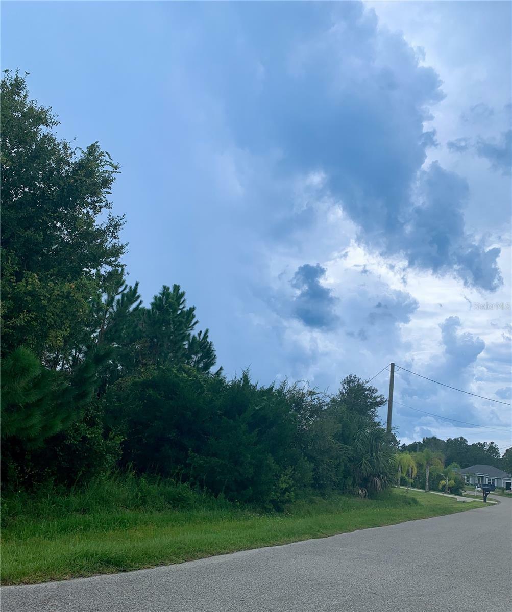 Property Photo:  20 Big Horn Drive  FL 32137 