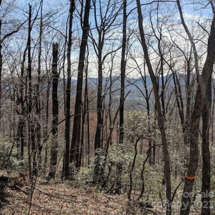 Property Photo:  94 Galax Drive  NC 28711 