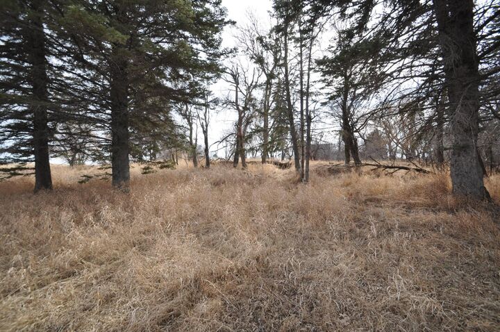 Property Photo:  Lots 13 & 14 --  ND 58386 