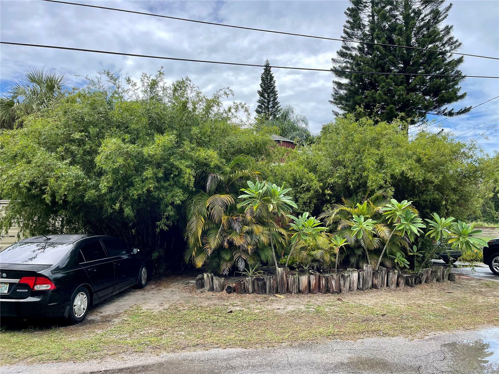 Property Photo:  15017 Dayton Drive  FL 34667 