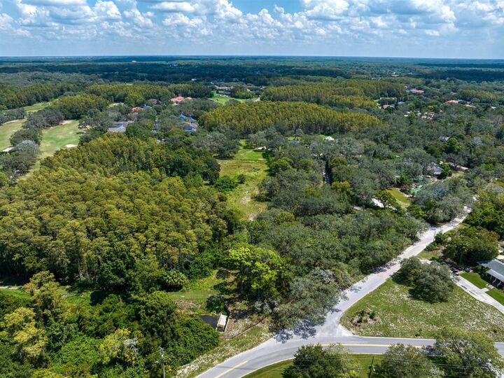 Property Photo:  Old East Lake Road  FL 34688 