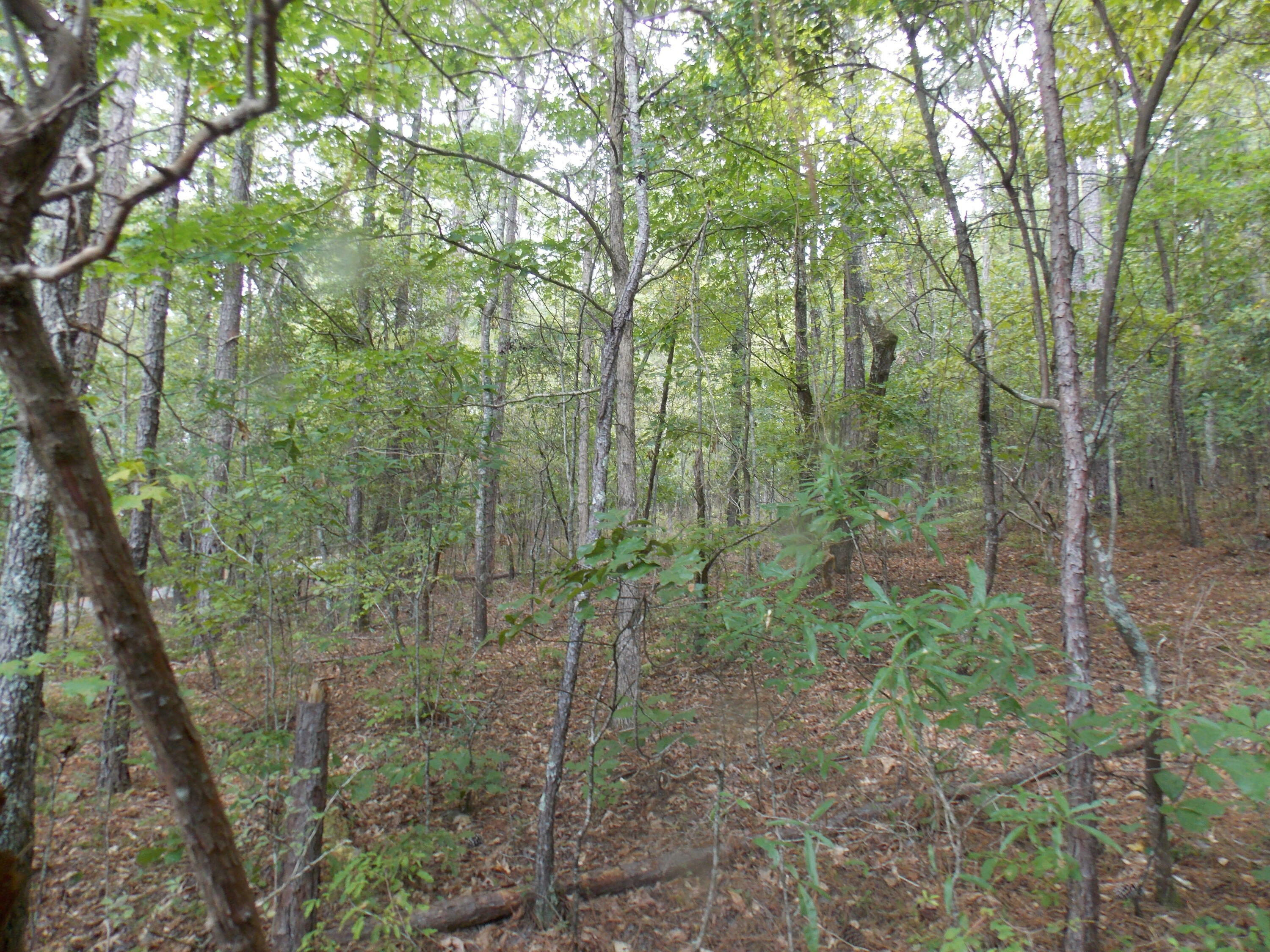 Property Photo:  11 Doe Run  GA 30817 