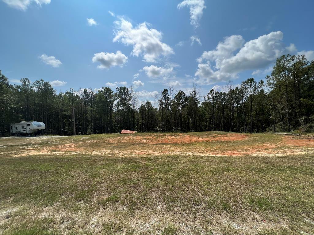 Property Photo: 131 Pine Hill Road GA 31805
