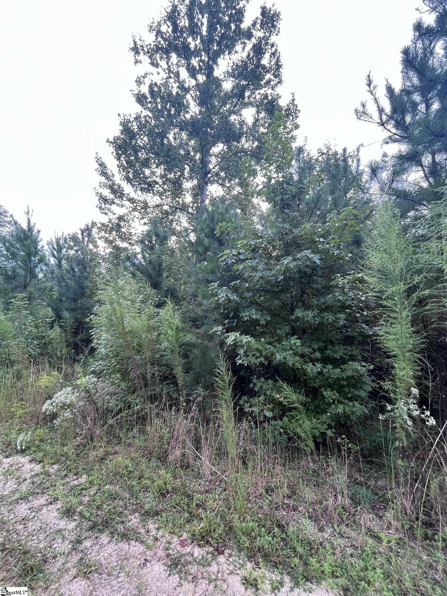 Property Photo:  0 Tugaloo Road  SC 29643 