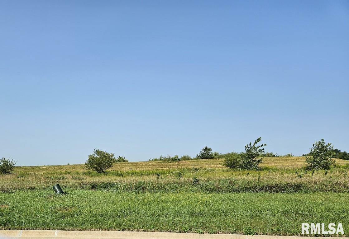 Property Photo: Lot 80 Kyle Court IL 61548