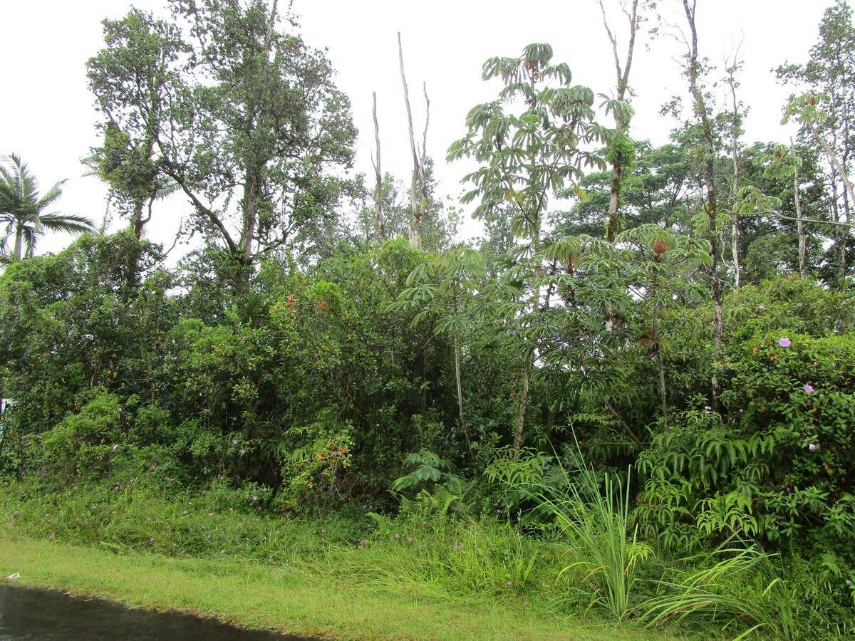Property Photo:  Ginger Ln  HI 96778 