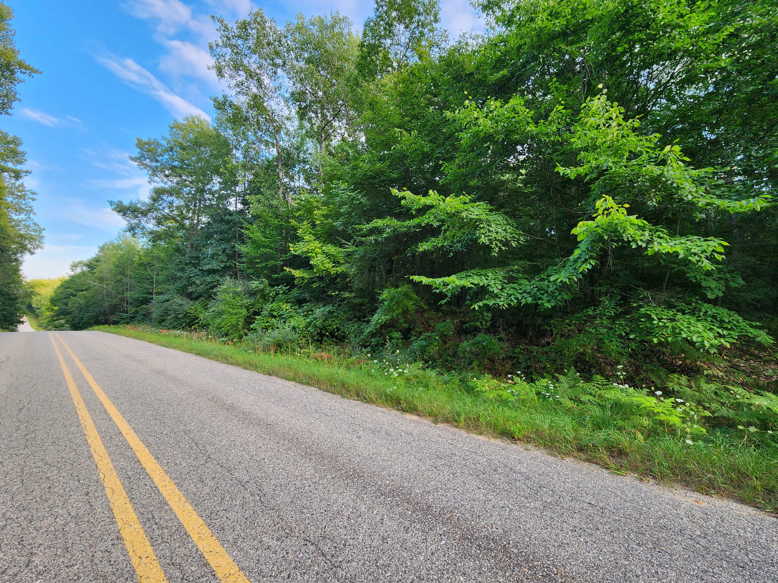 Property Photo:  Vl 17 Mile Road  MI 49307 