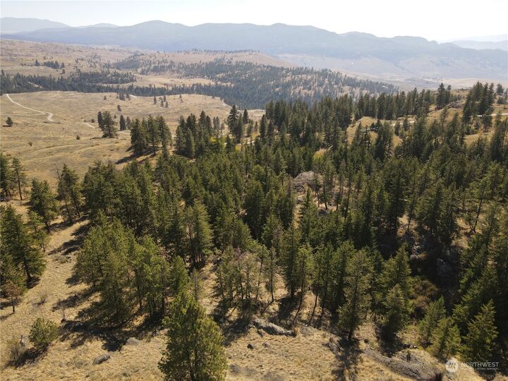 Property Photo:  0 Tbd Blue Grouse Road  WA 98844 