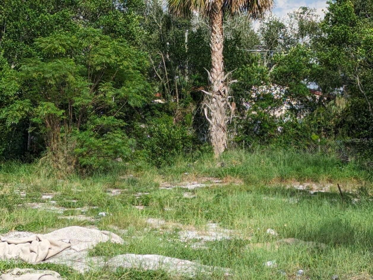 Property Photo:  2436 Edwin Street NE  FL 33881 