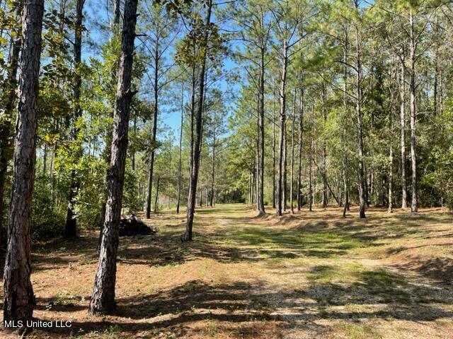 Property Photo:  0 Wolf River Road  MS 39503 