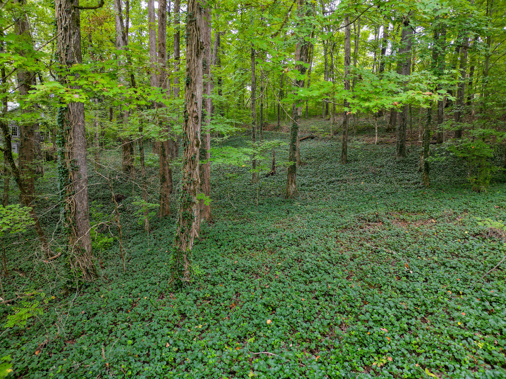 Property Photo:  1440 Tenn Nursery Road  TN 37311 