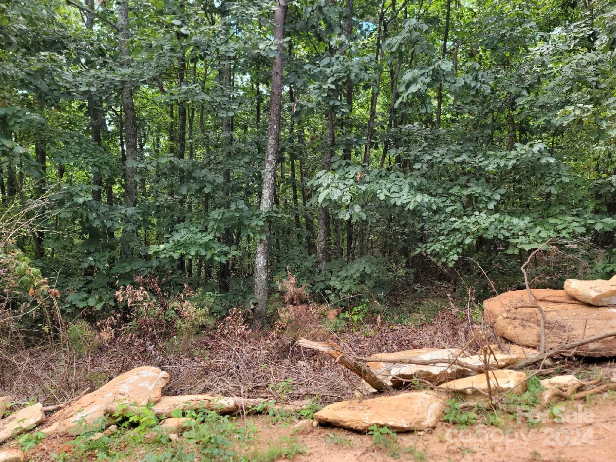 Property Photo:  120 Rocky Mountain Road  NC 28020 