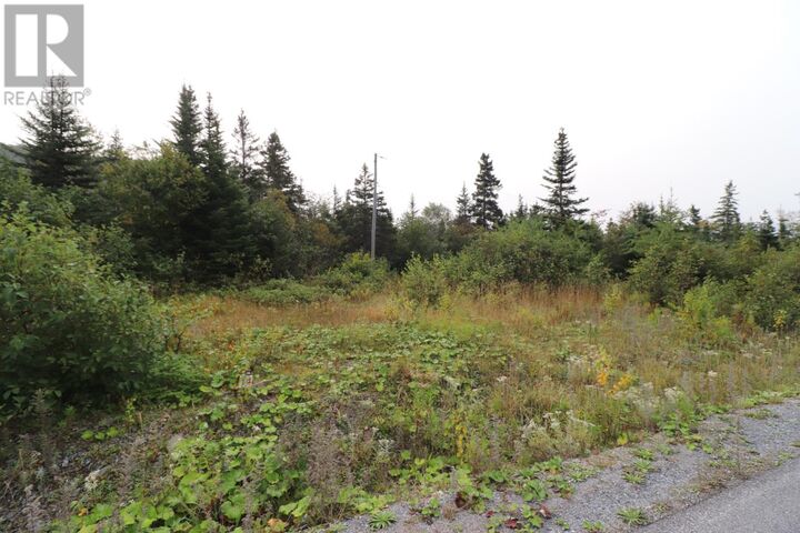 Property Photo:  12 Hollands Memorial Drive  NL A0K 3V0 