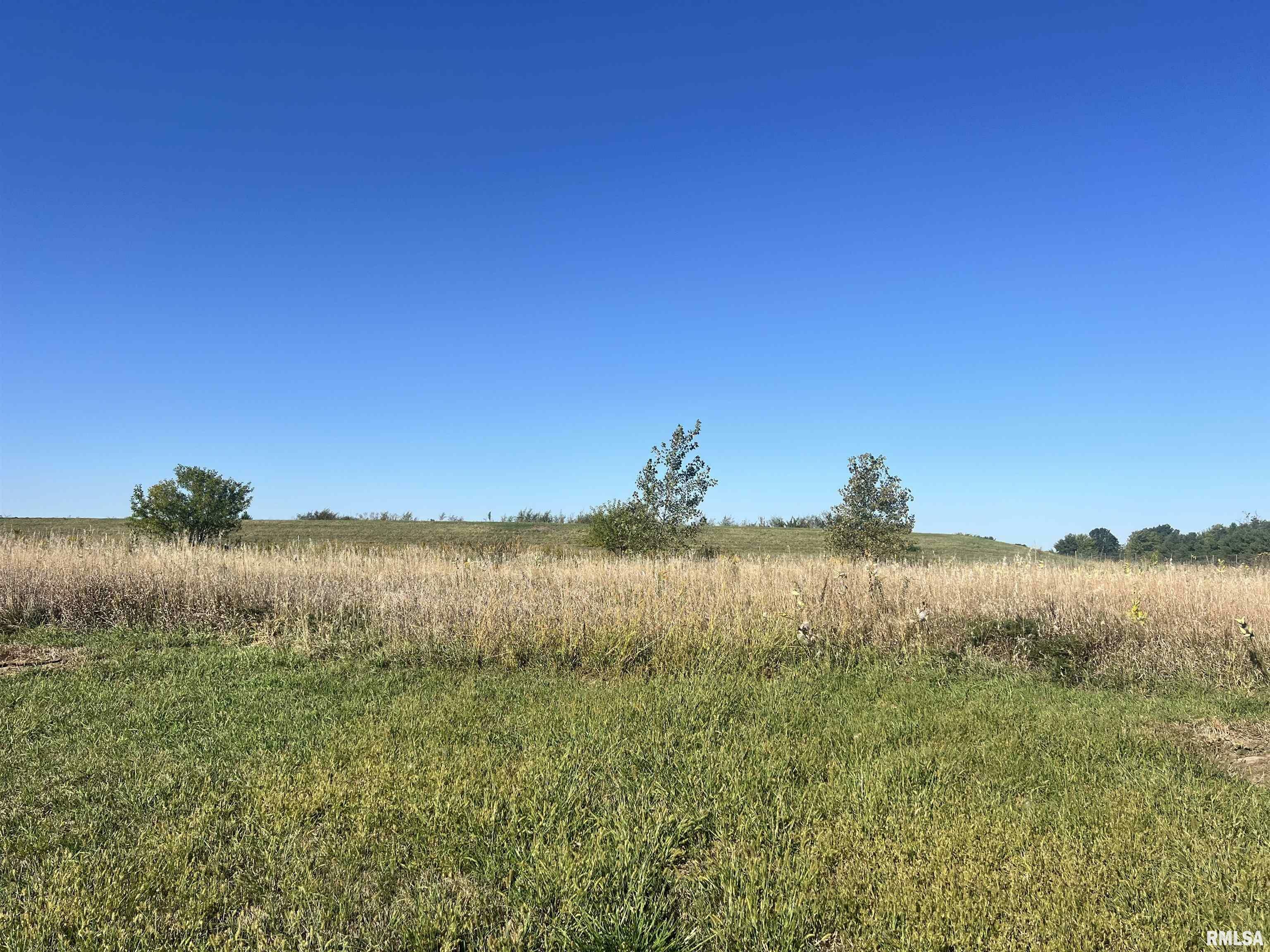 Lot 79 Kyle Court  Metamora IL 61548 photo