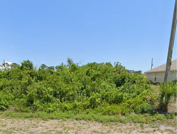 Property Photo:  12825 Xavier Avenue  FL 33981 