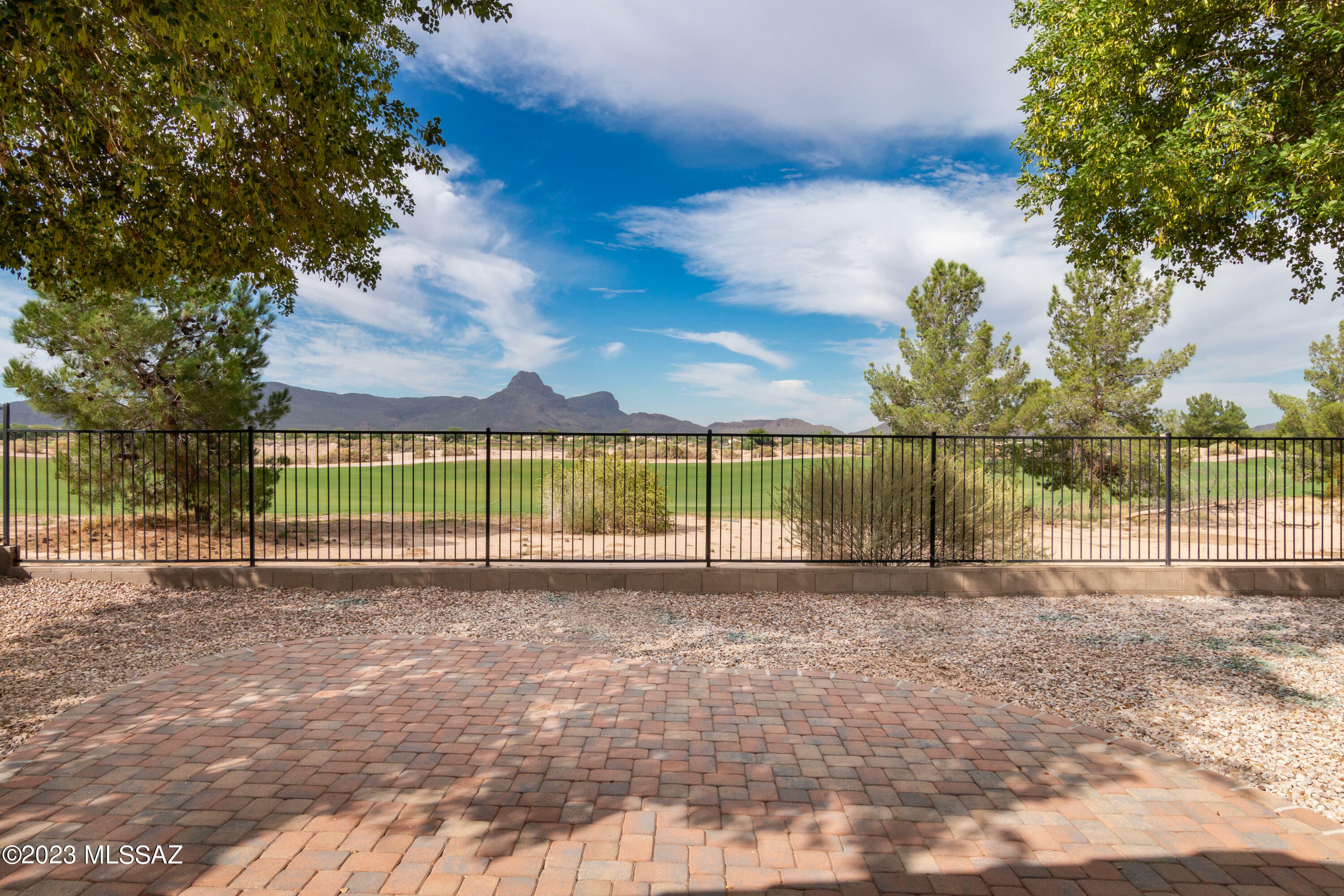 Property Photo:  8637 N Continental Links Drive  AZ 85743 