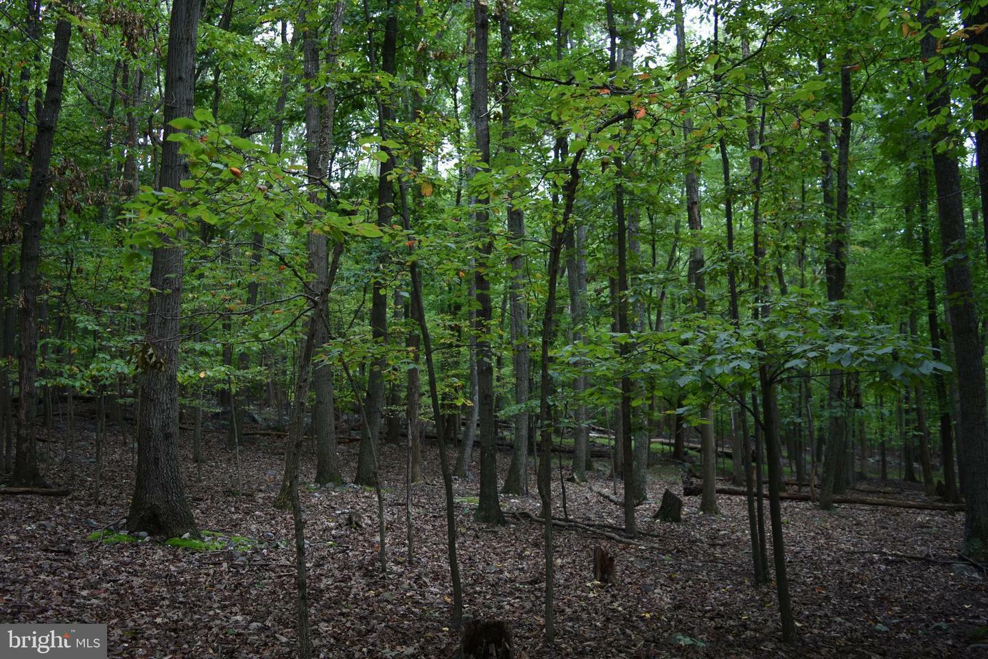 Property Photo:  Terrapin Road  WV 25425 