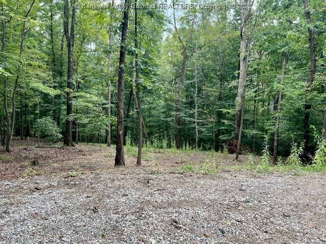 Property Photo: 0 Daverton Road WV 25314