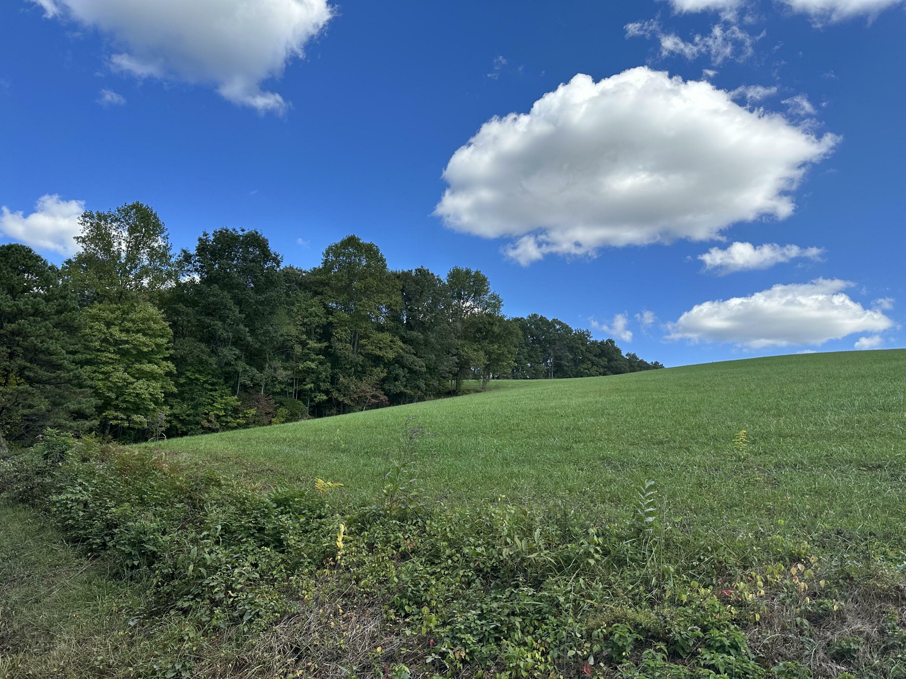 Property Photo:  Lot 2 Baldwin Road  KY 40447 