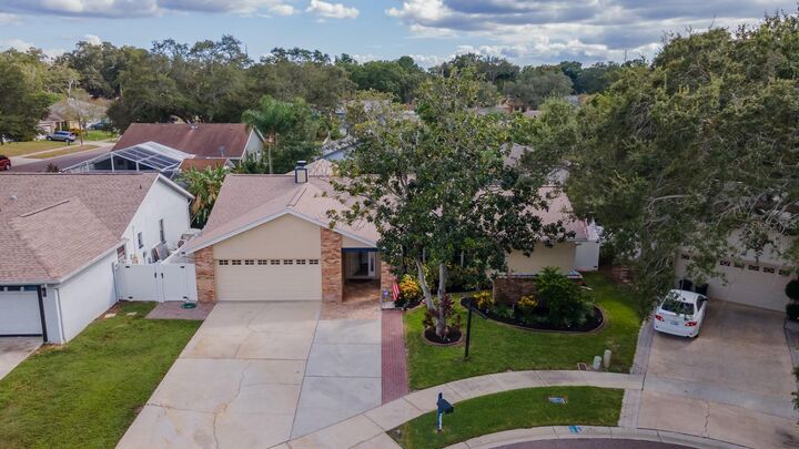 Property Photo:  2628 Sunridge Circle  FL 34684 