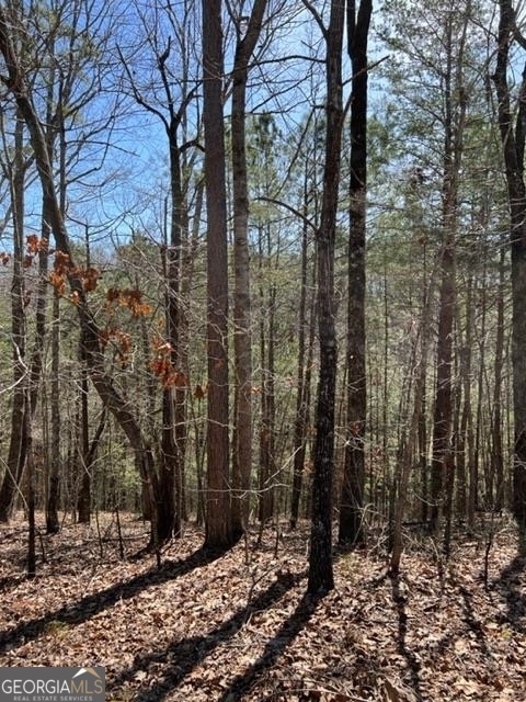 Property Photo:  Lt 4 Hunters Ridge  GA 30540 