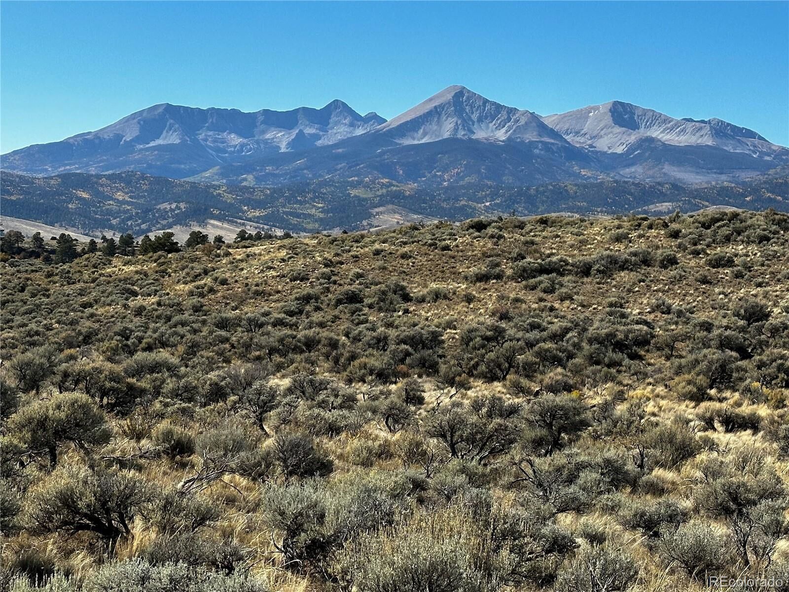 Property Photo:  199 Nordmann Dr  CO 81133 