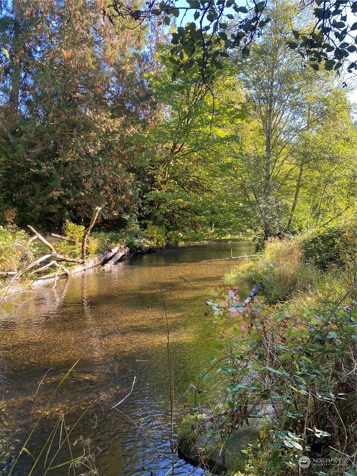 Property Photo: 311 E Sherwood Creek Road WA 98524