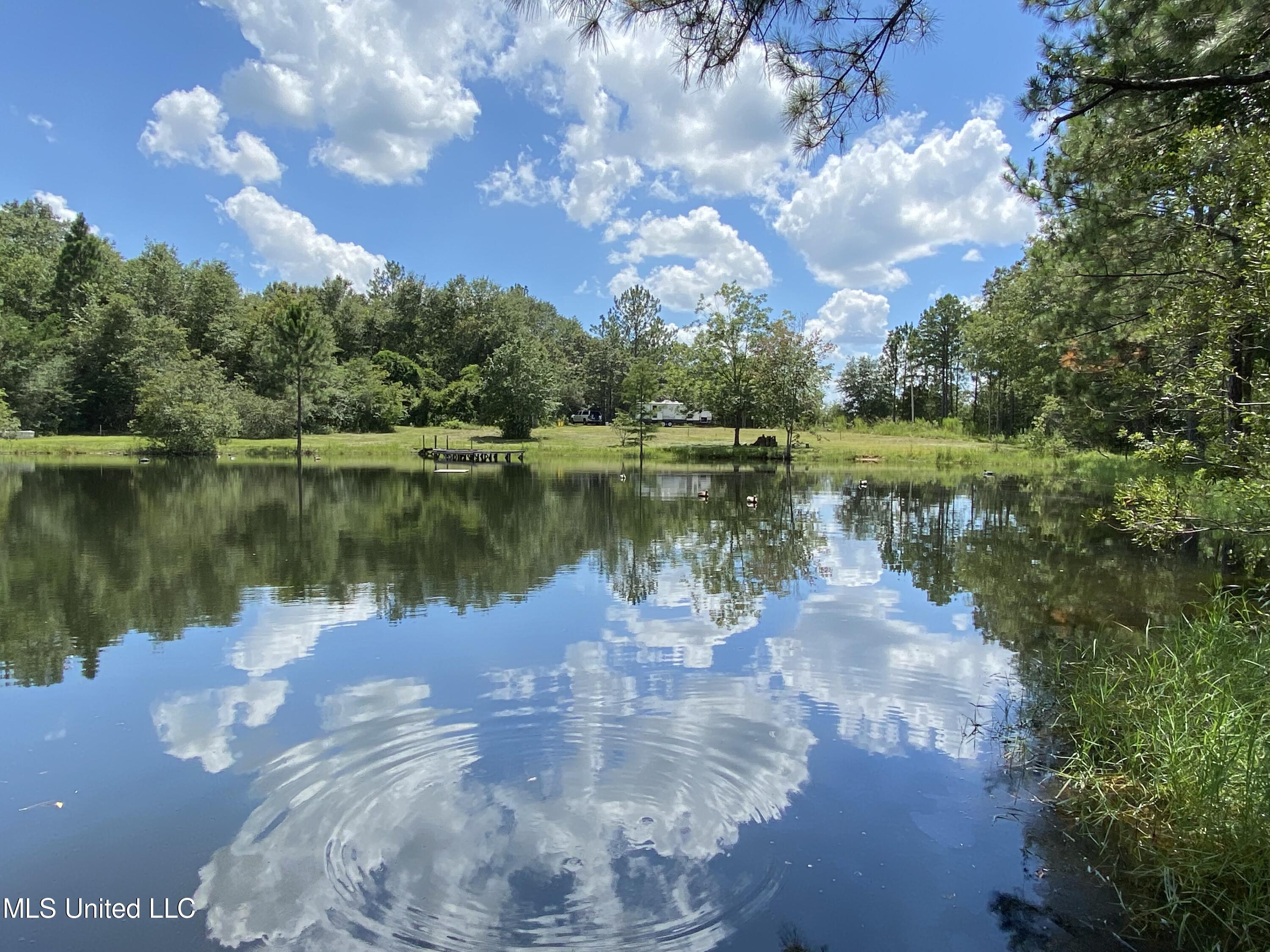 Property Photo: 65 Farmer Road MS 39573