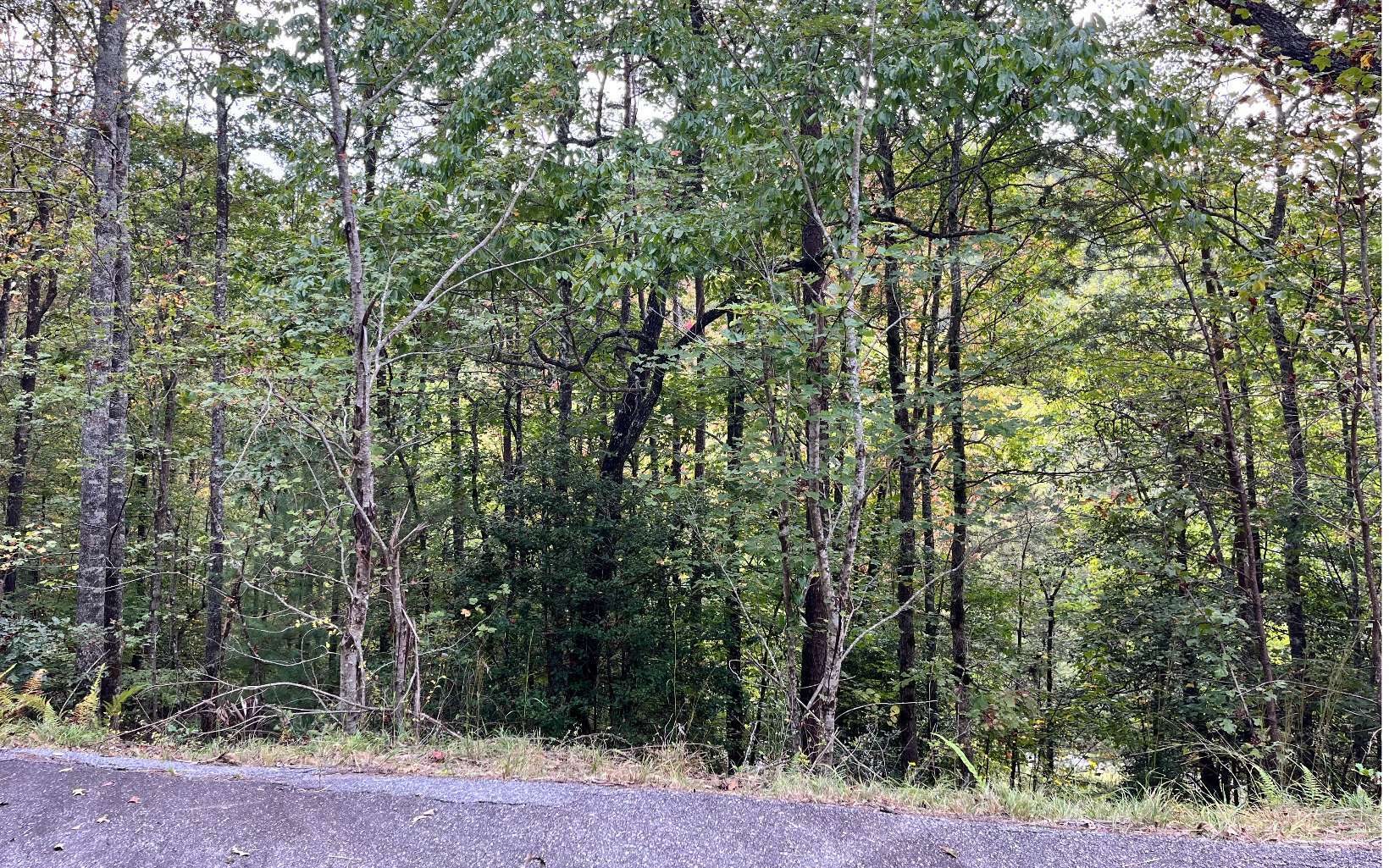 Property Photo:  00 Brasstown Creek Ridg  NC 28902 