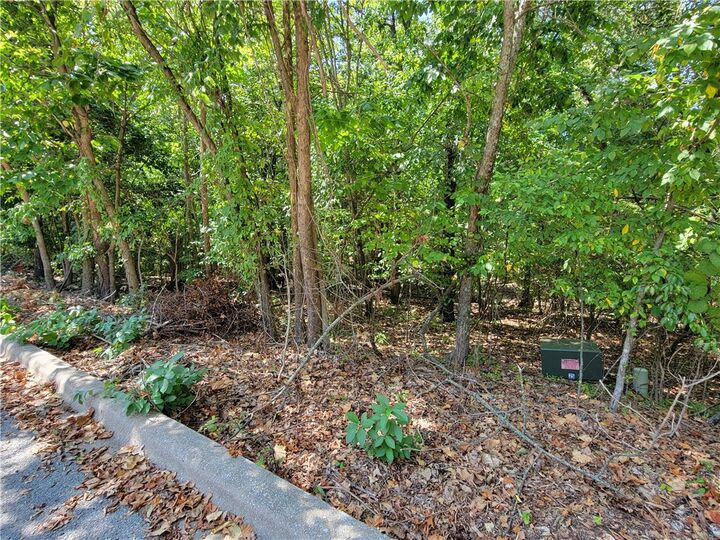 Morganshire Drive  Bella Vista AR 72714 photo