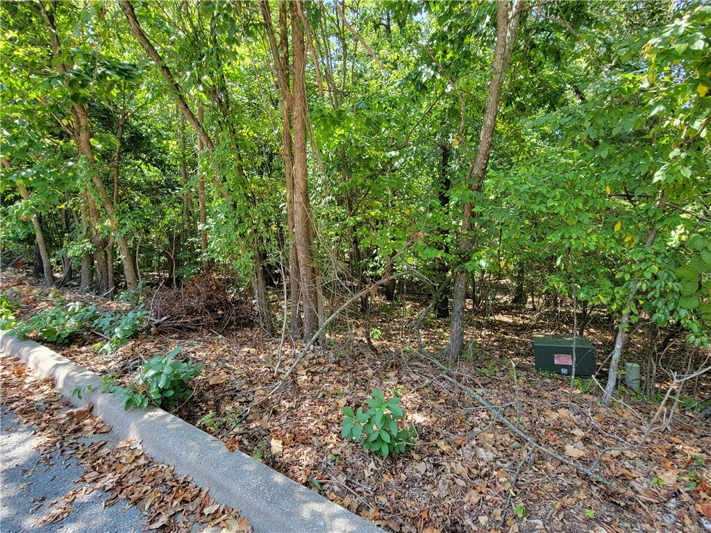 Property Photo: Morganshire Drive AR 72714