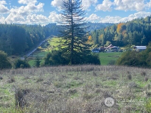 Property Photo: 202 Grimes Road WA 98531