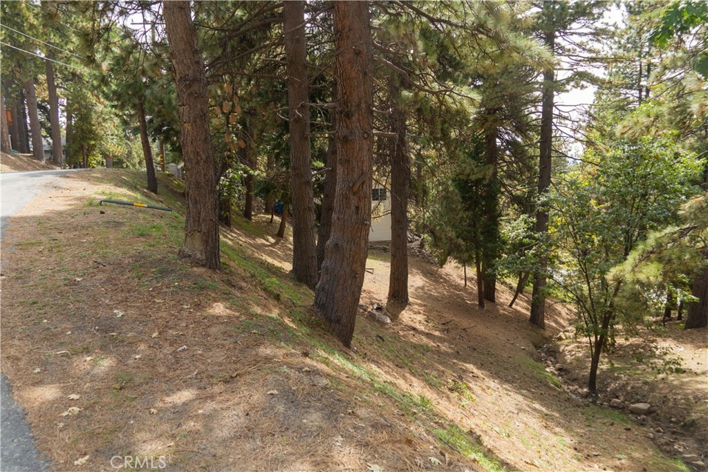 Property Photo:  0 Circle View Drive  CA 92382 