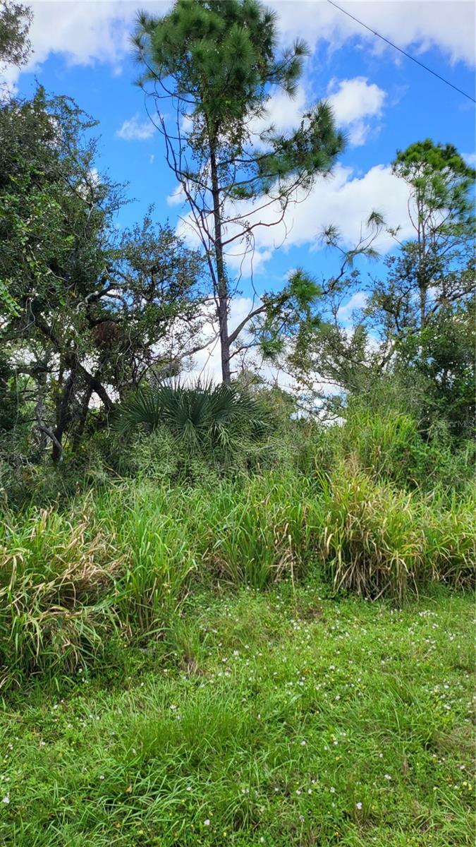 Property Photo: 25 Evaro Drive FL 33954
