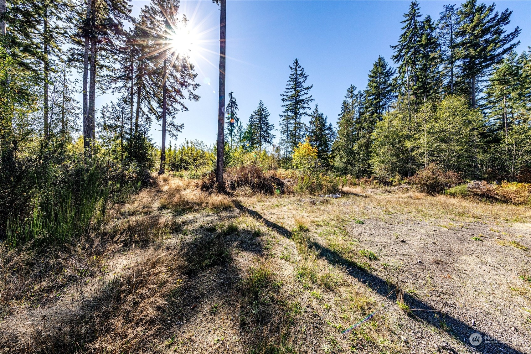 Property Photo:  9999 Blue Mountain Road  WA 98362 