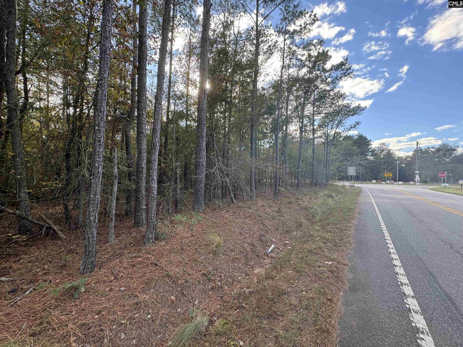 Property Photo:  467 Turkey Farm  SC 29016 
