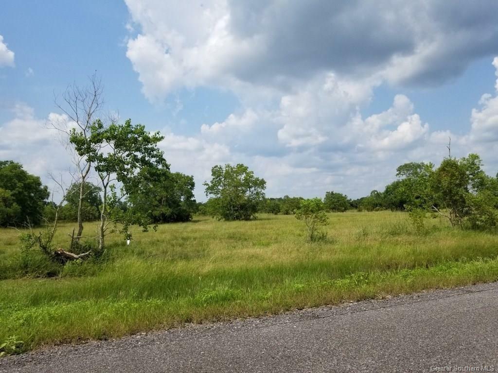 Property Photo:  0 Levee Loop  LA 70607 