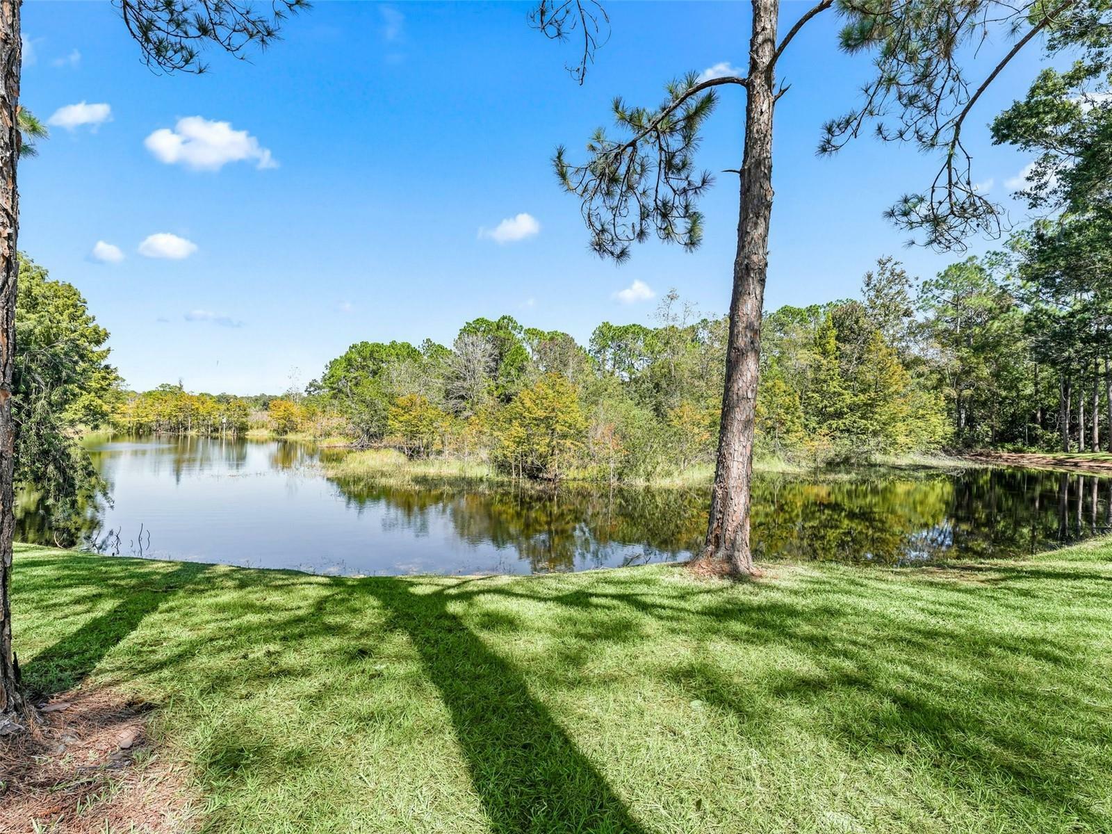 Property Photo:  36 Gordon Court  FL 34788 