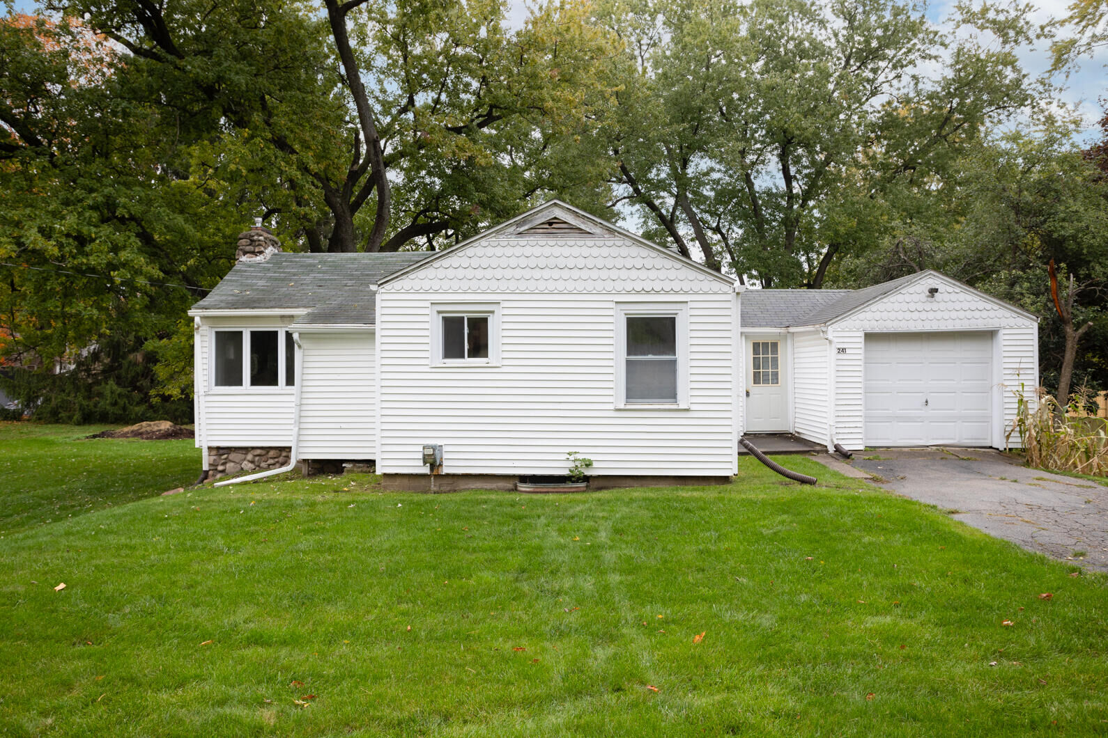 Property Photo:  241 Kenneth Street  MI 49203 