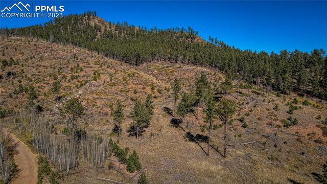 Property Photo: 226 Valley Drive CO 80863